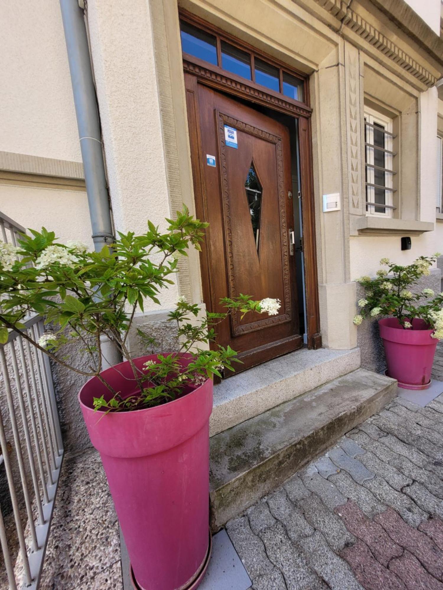 Le Cocon D'Emma, Appartement Bourgeois Avec Terrasse, Et Parking Gratuit Dans Maison De Maitre Estrasburgo Exterior foto